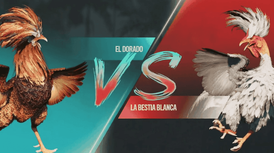 kw777 Jogos Exclusivos e Plataforma de Apostas